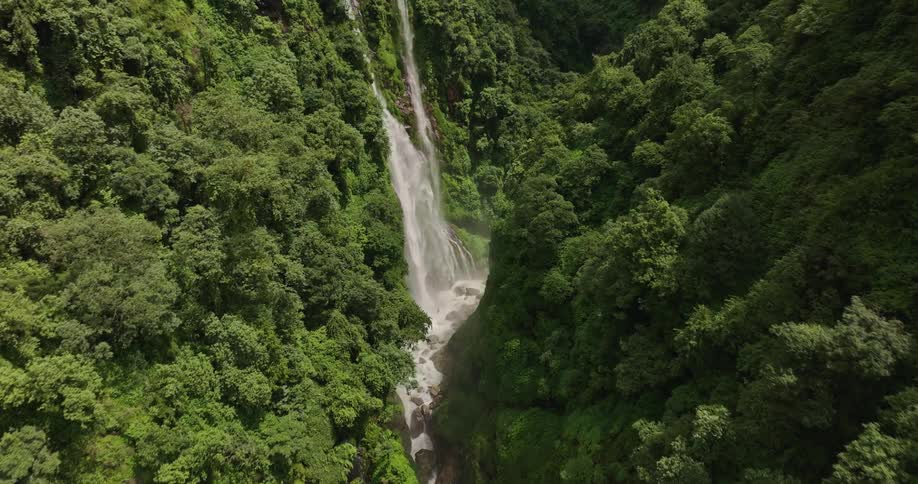 A small waterfall in the middle of a forest of green trees