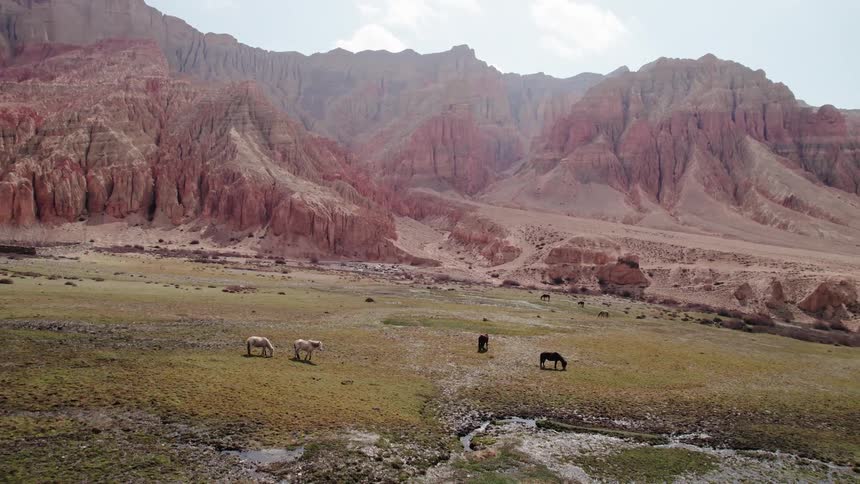 Aerial panorama of a landscape with horses and in the background mountains and peaks