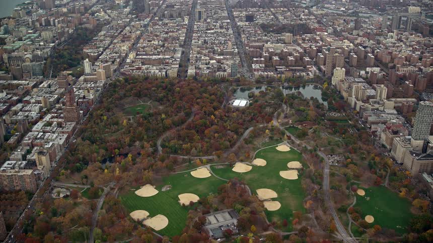 Aerial view of a forest in the center of a metropolis