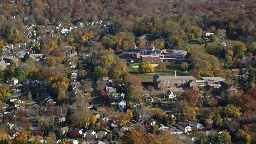 Aerial view of a suburban residential area with extensive vegetation