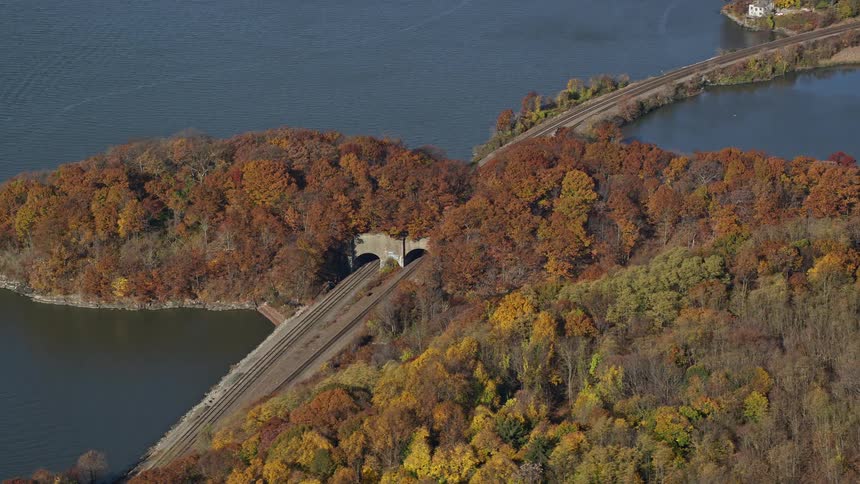 Aerial view of a road by the seaside amidst nature with a forest