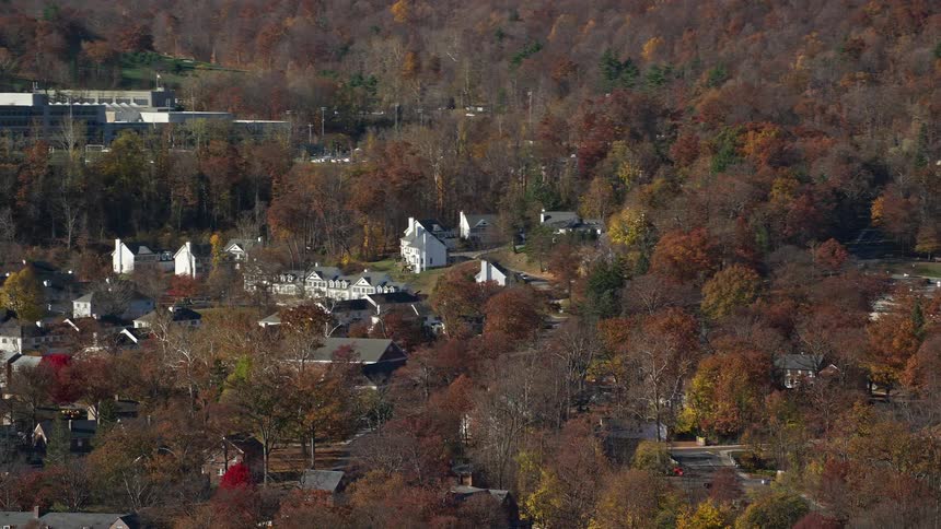 Aerial view of houses in suburbs amidst natural trees