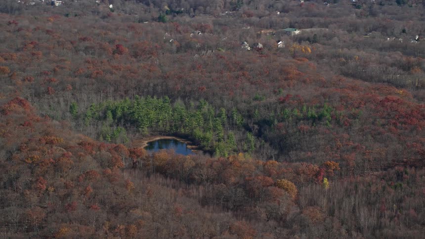 Aerial of pond and green leafed trees surrounded by leafless and autumnal trees in the countryside