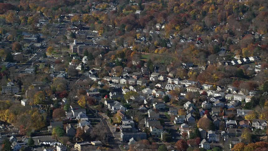 A small rural town with small houses and lots of vegetation