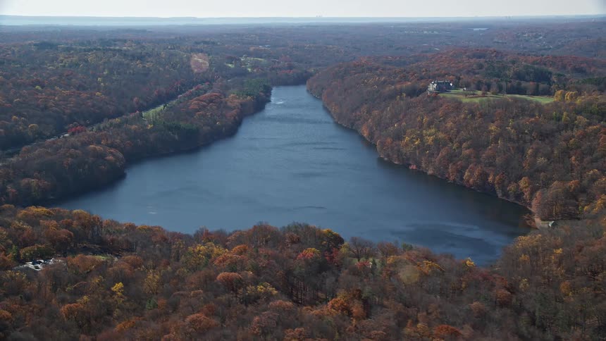 Aerial of a river surrounded by forest during the day