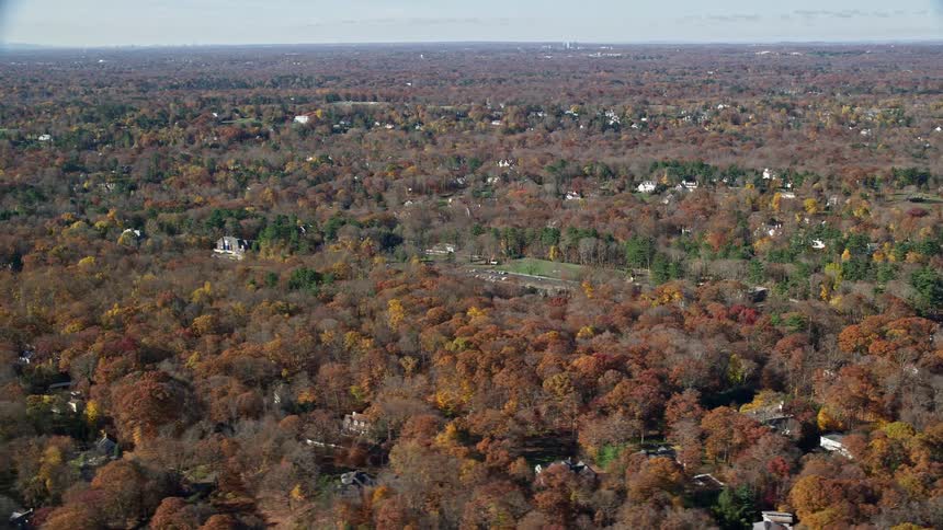 Aerial of a suburban neighborhood surrounded by forest