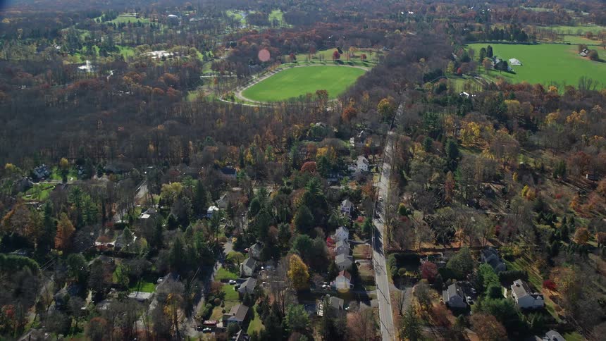 Aerial of trees and houses in a suburb on a sunny day
