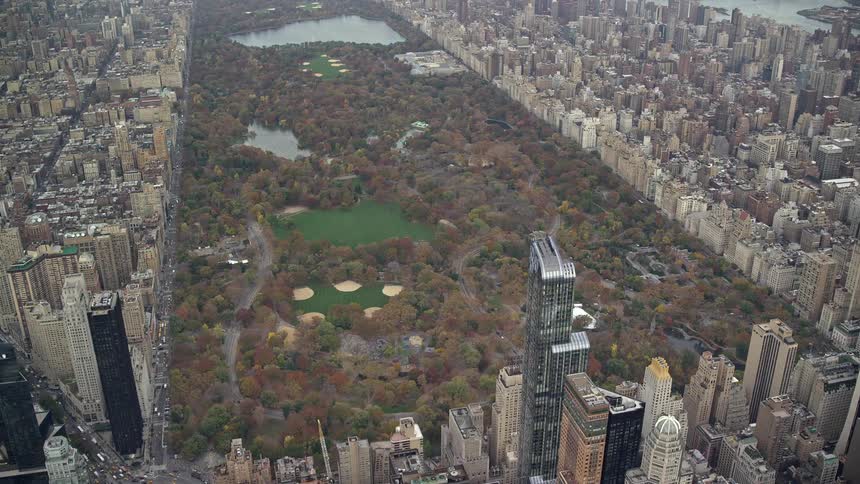 Aerial panorama of a metropolis with a central park in the middle of the city