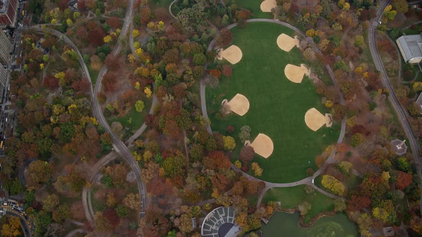 Aerial panorama of a vast forest with a lake