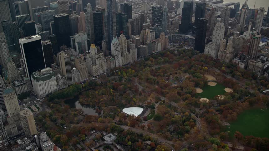 A park full of trees in the middle of a metropolitan forest with huge buildings