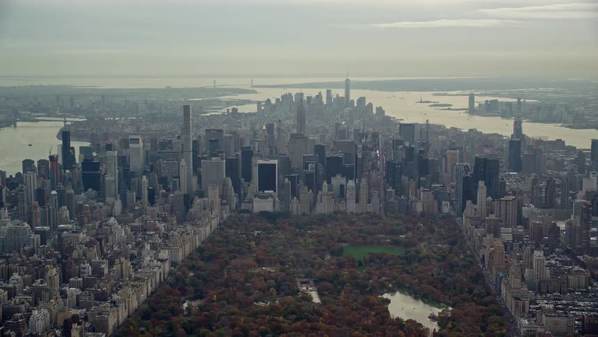 A large park is in the middle of the city