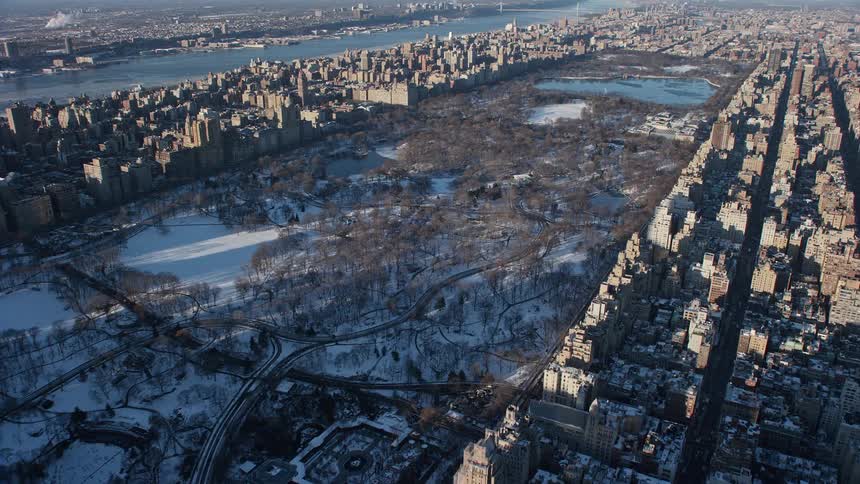 Aerial view of central park in new york city skyline