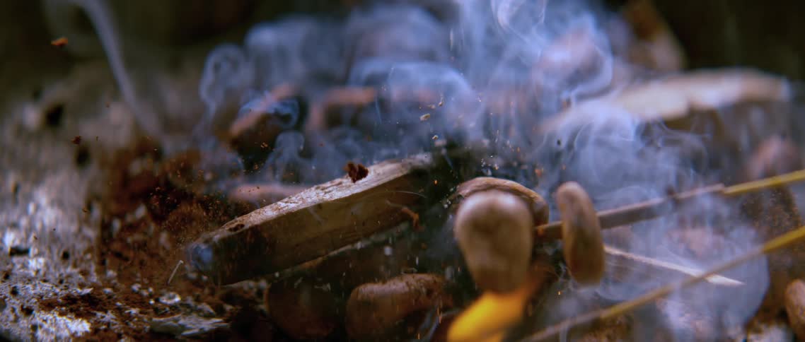 A burning piece of wood has small dried beans drops onto it