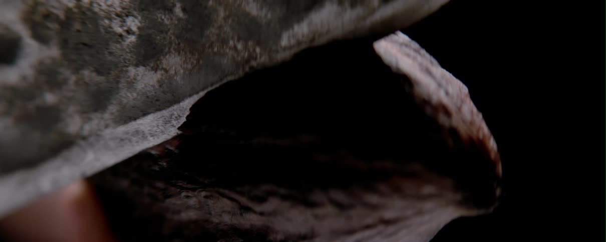 A person chops at a cocoa seed pod using a large blade