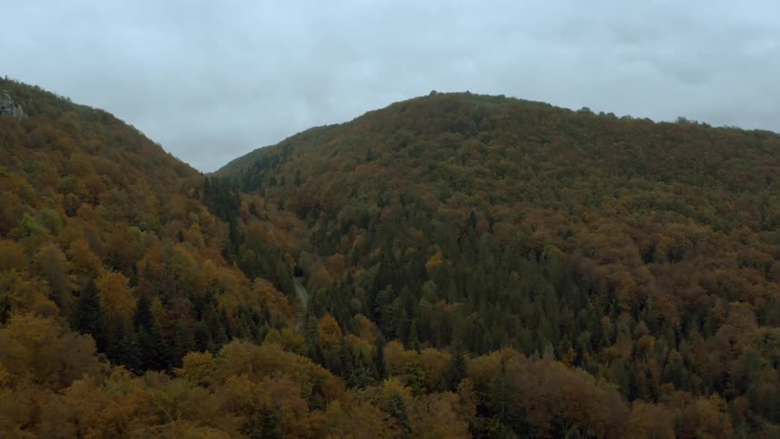 A road runs through forested mountains with trees in fall colors under a cloudy sky