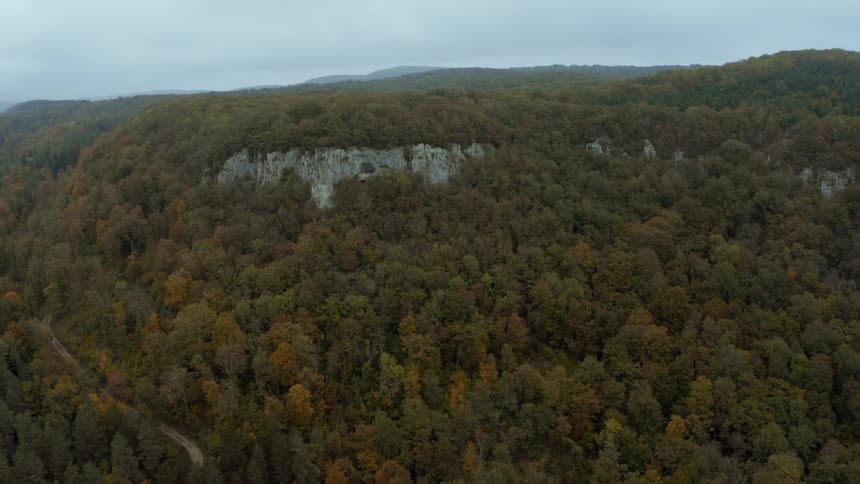 Aerial view of a forest under a cloudy sky