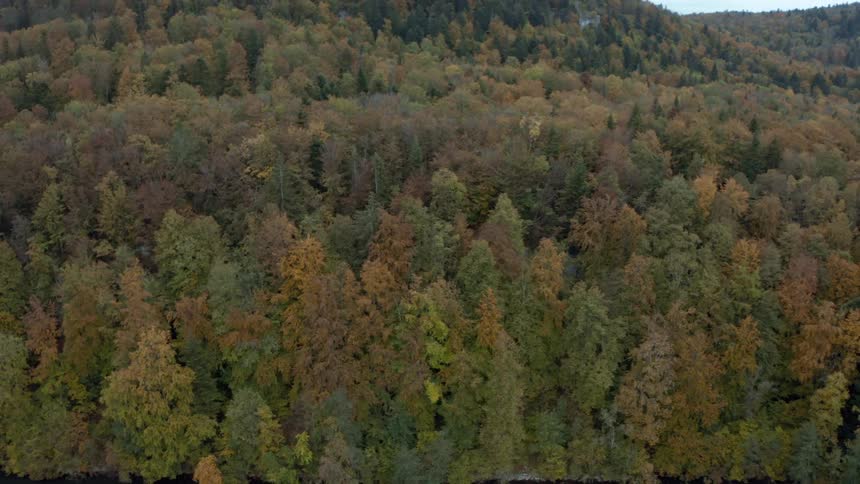 Panorama of a greenish lake beside mountains with forests