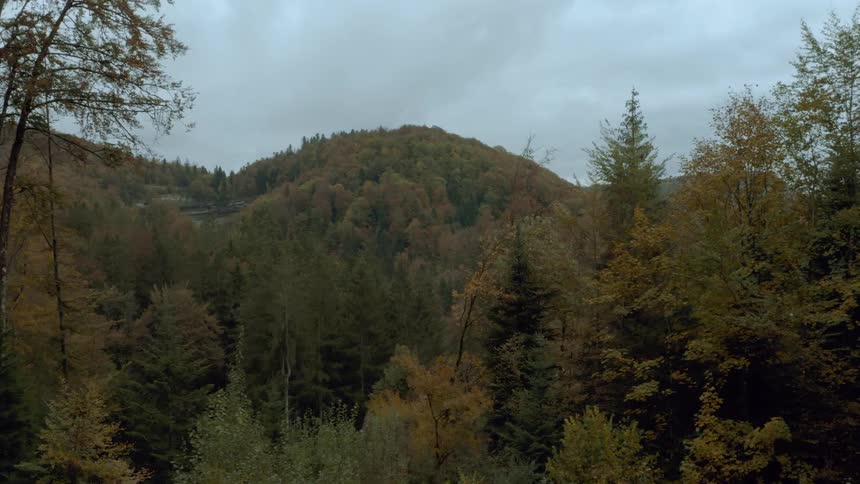 Moving through trees toward a forested mountain with trees in fall colors under a cloudy sky