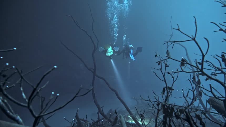 View from inside the sea of divers exploring