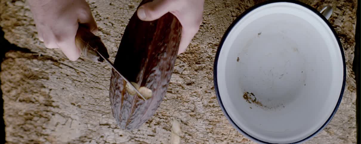 A person chops a coconut with a blade