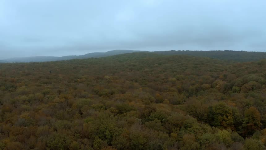 Aerial view of forests with trees in fall colors and mountains in the distance under a cloudy sky