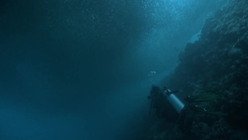 A diver with an oxygen tank is underwater and close to a coral