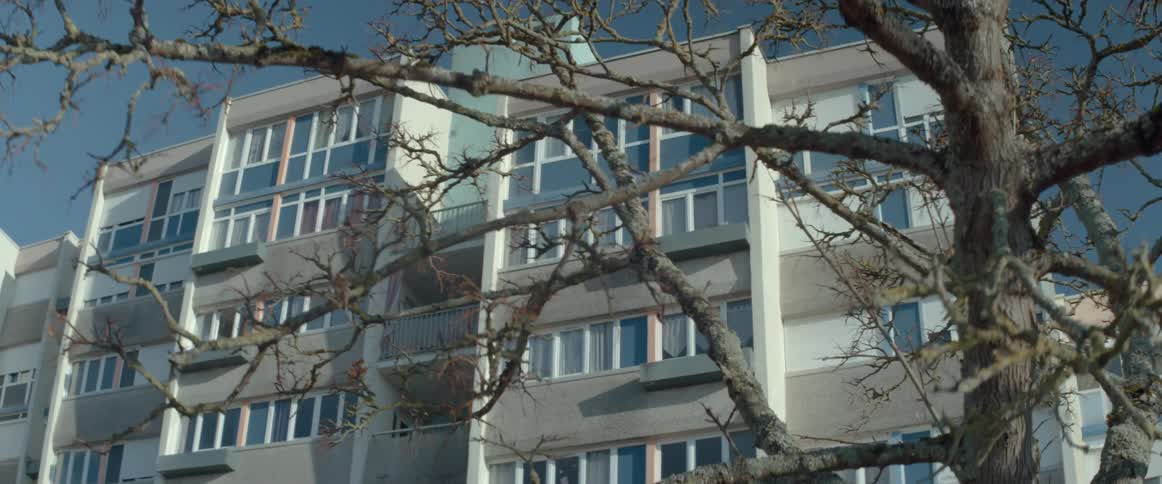 A tree is in front of the apartment building