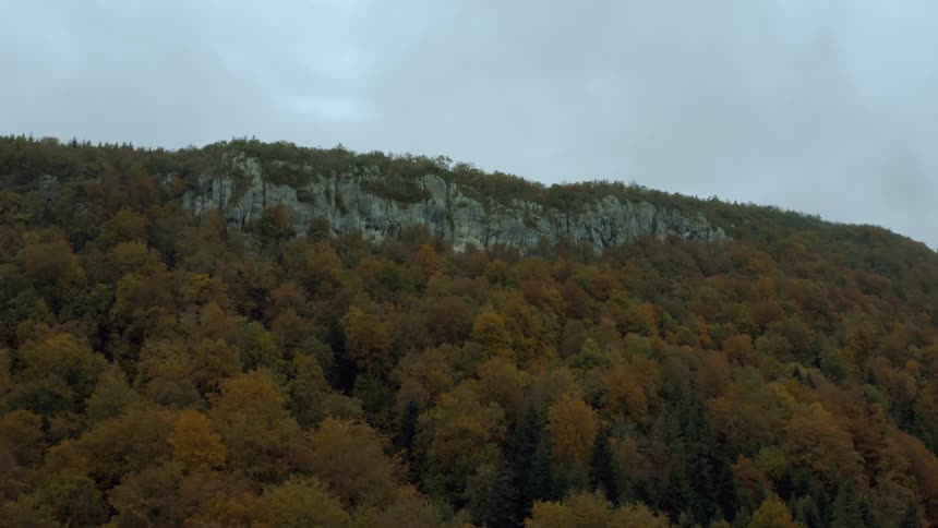 Aerial view of a forest in the mountains