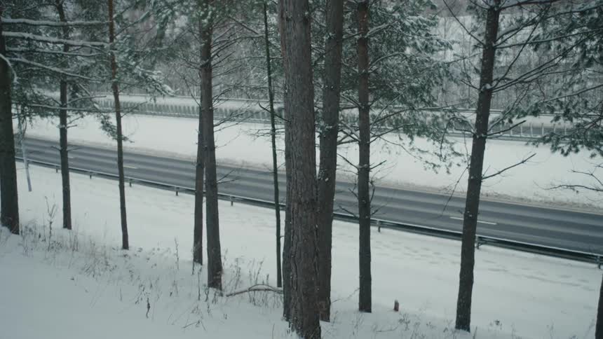 Cars are driving on the highway