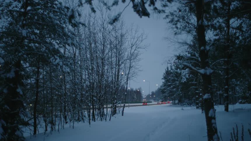 Traffic drives along highway passing snowy forest in winter