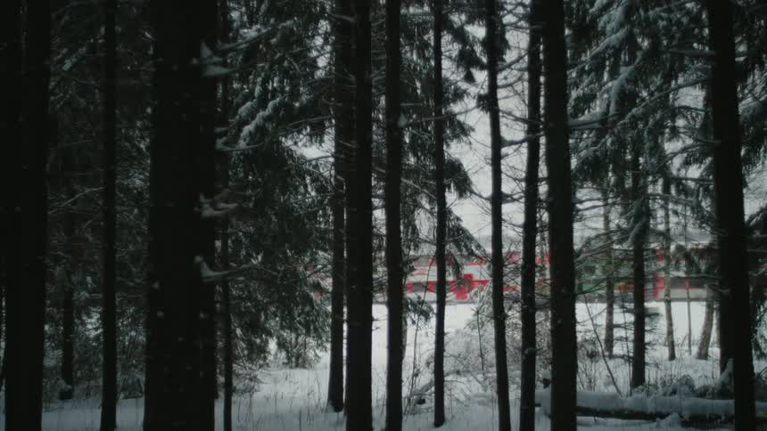 Train passes snow covered conifer forest during winter day
