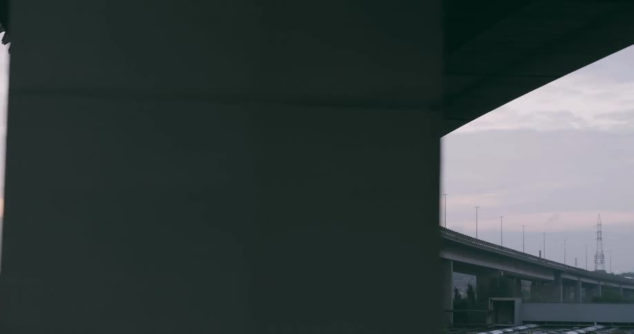 Elevated highway crosses over business buildings under an overcast sky