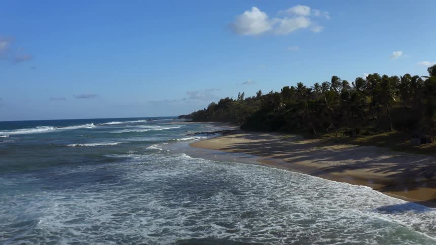 Aerial of a deserted beach with forest on the coast