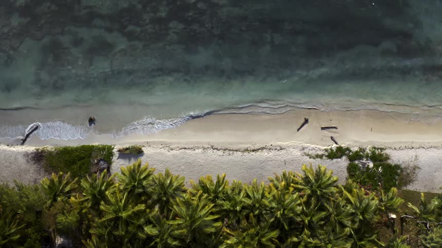 Waves crash against the tropical beach