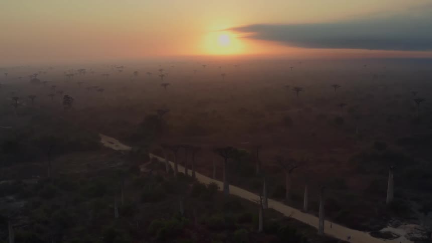 Aerial of road crossing tree dotted plain during a hazy sunrise