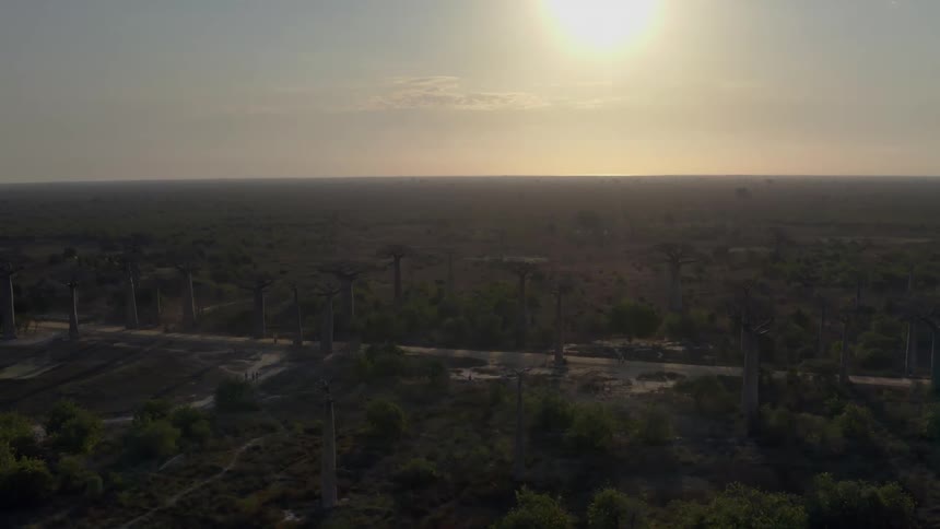 Sun shines brightly onto car driving along road bordered by tall columns