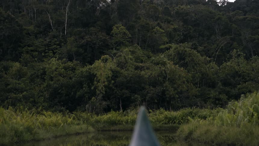 The boat is traveling in the river