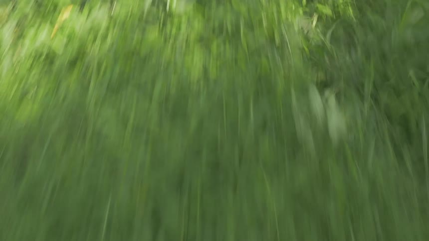 A person is running fast over grass