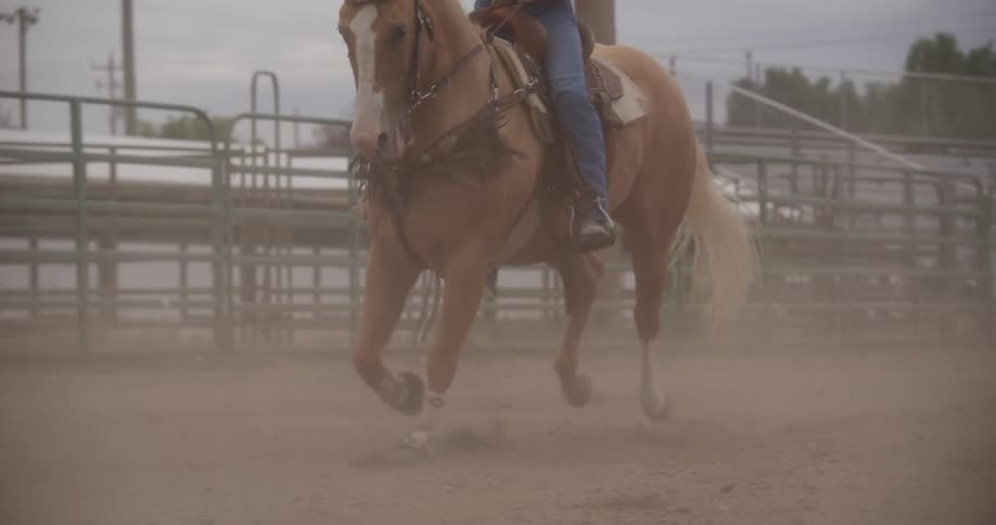 Person riding a horse at a rodeo in daylight