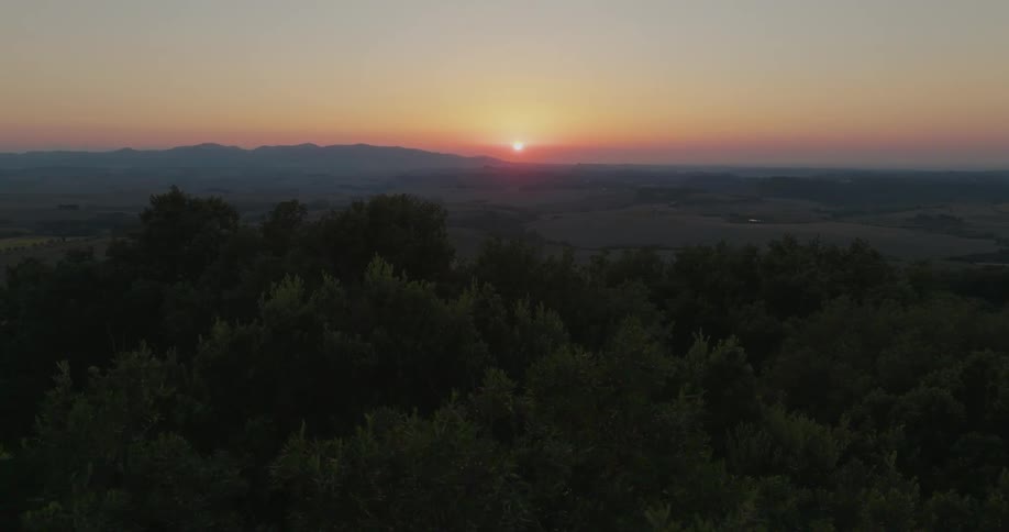 The sun is rising on the forest