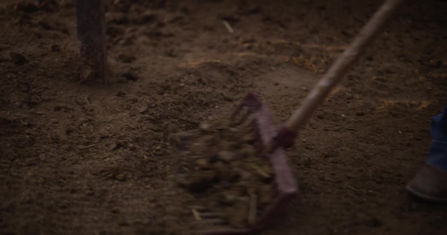 A woman plowing a field of land at sunset
