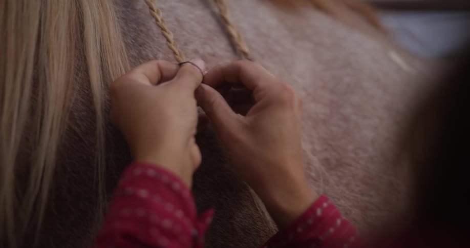 A woman braiding a horses hair