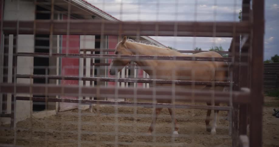 Horses entering and exiting a ranch with internal and external parts