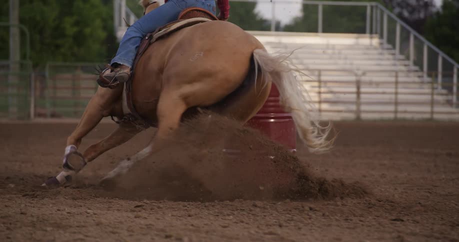 Cowgirl rides a horse around a red barrel in the rodeo
