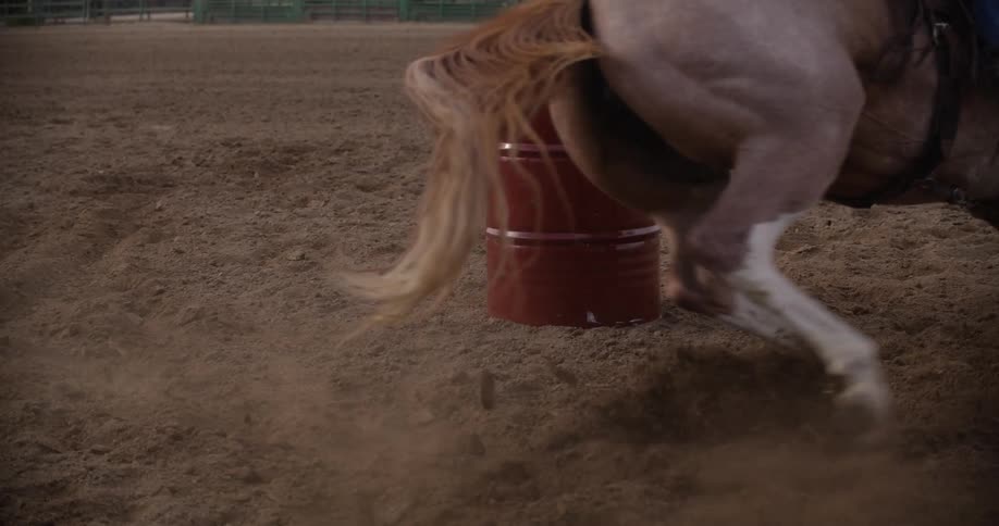 Cowgirl rides a horse around a red barrel in the rodeo