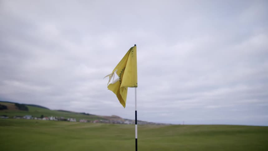 A yellow flag on a pole in a long field of grass