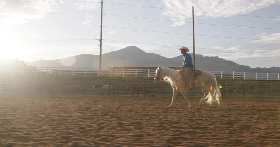 Man riding a white horse in a rodeo and releasing a rope in front of him