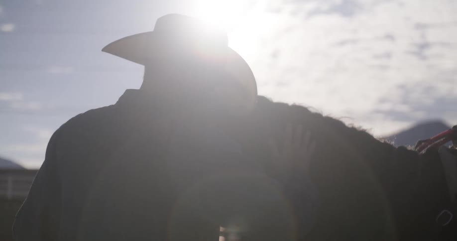 Silhouette of a cowboy tending a horse in the rodeo