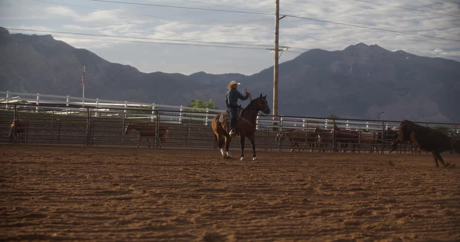 Man on horseback roping a bull around its legs in a rodeo