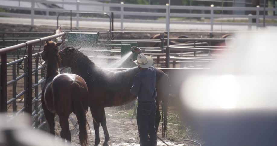 A man in a cowboy hat is watering a horse using a hose